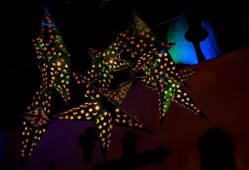 فندق Mestizo Gallery