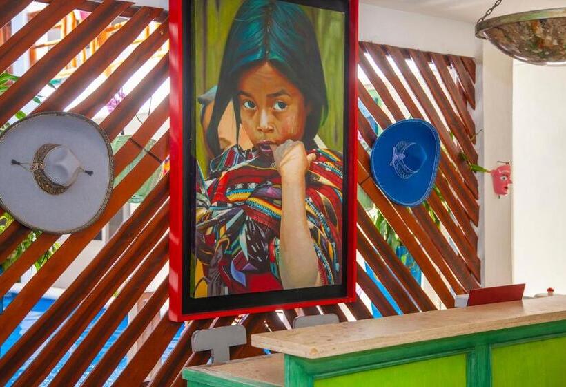 فندق Mestizo Gallery