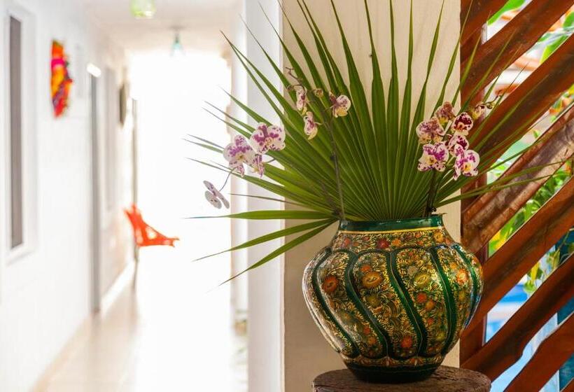 فندق Mestizo Gallery