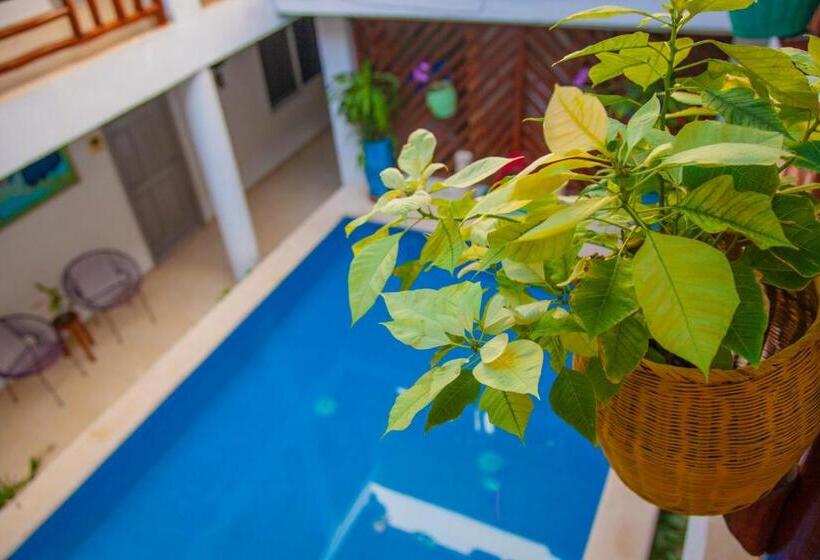 فندق Mestizo Gallery