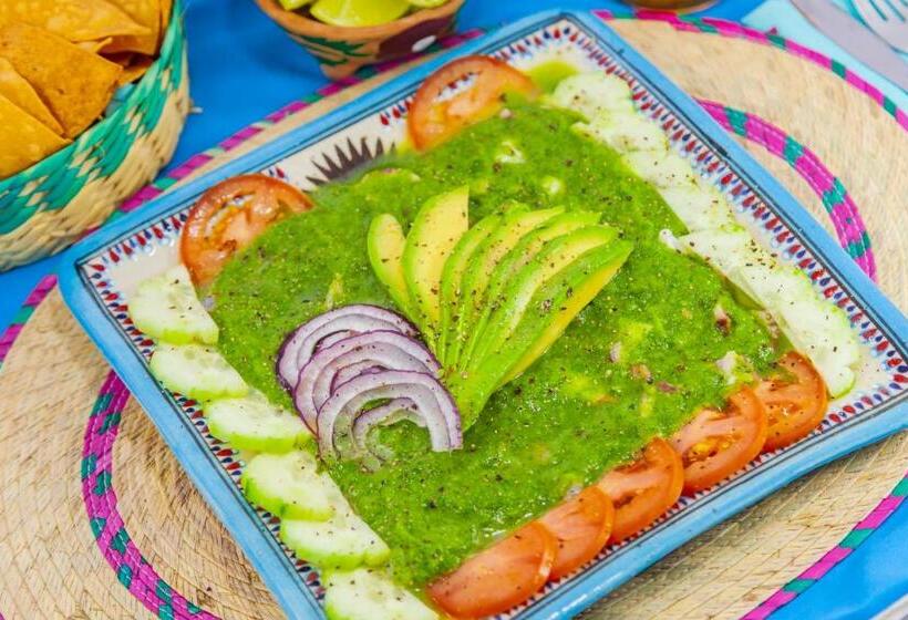 فندق Mestizo Gallery