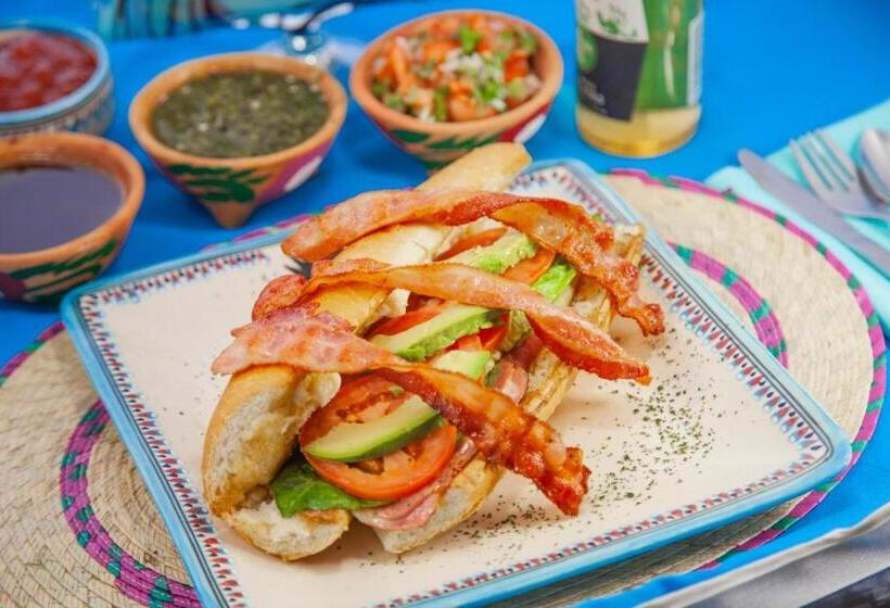 فندق Mestizo Gallery