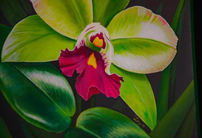 فندق Mestizo Gallery