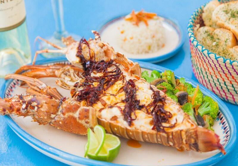 فندق Mestizo Gallery