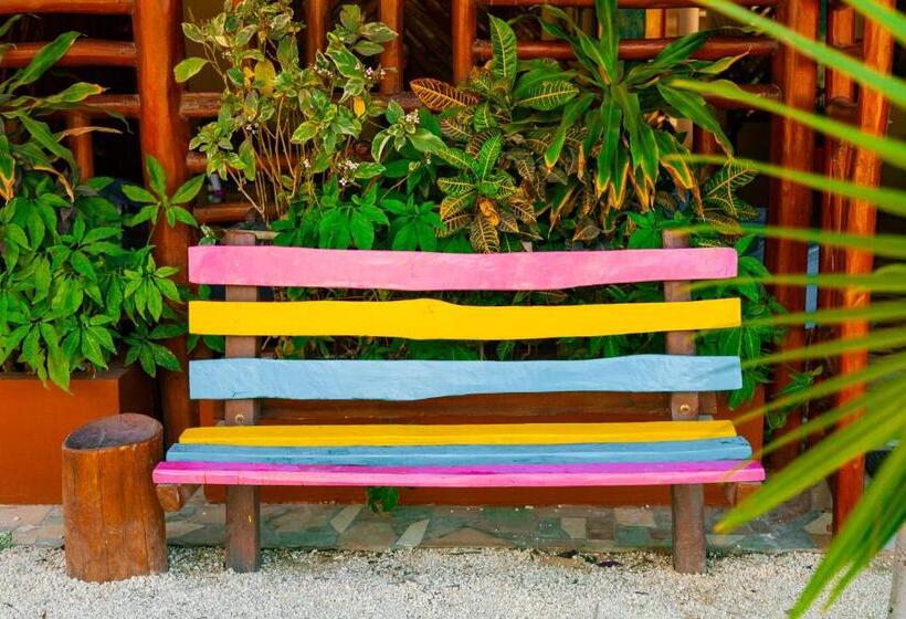 فندق Mestizo Gallery