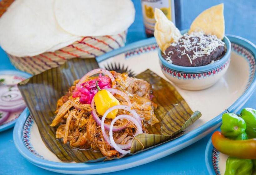 فندق Mestizo Gallery