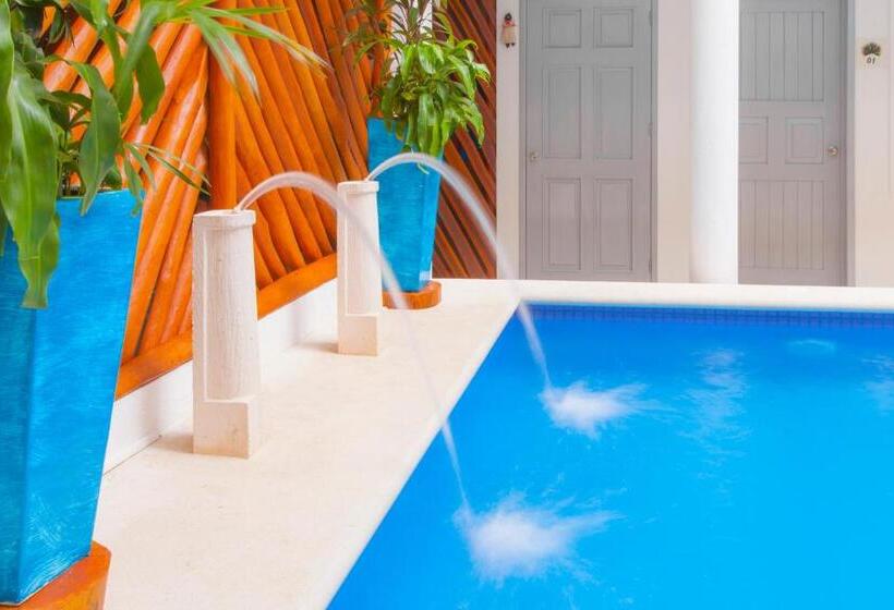 فندق Mestizo Gallery