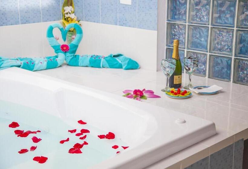 فندق Mestizo Gallery