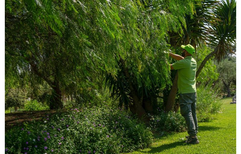 בית מלון כפרי Naturalis Bio Resort