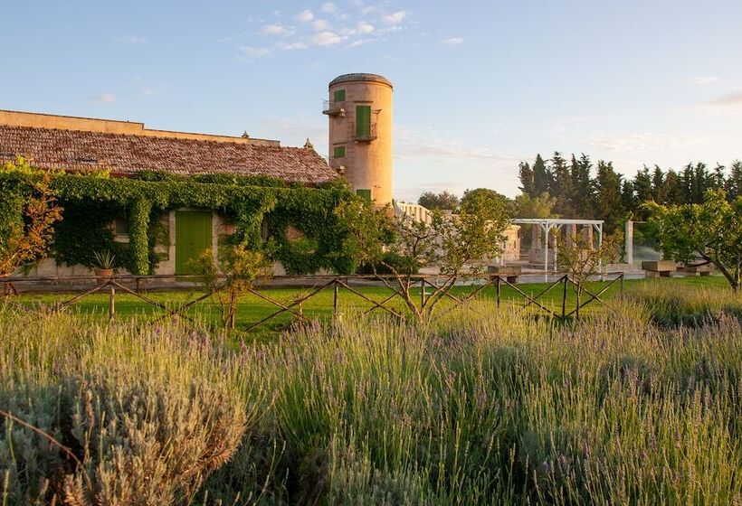 בית מלון כפרי Naturalis Bio Resort