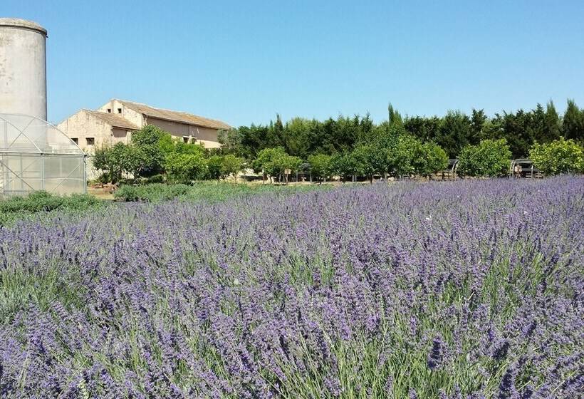 בית מלון כפרי Naturalis Bio Resort