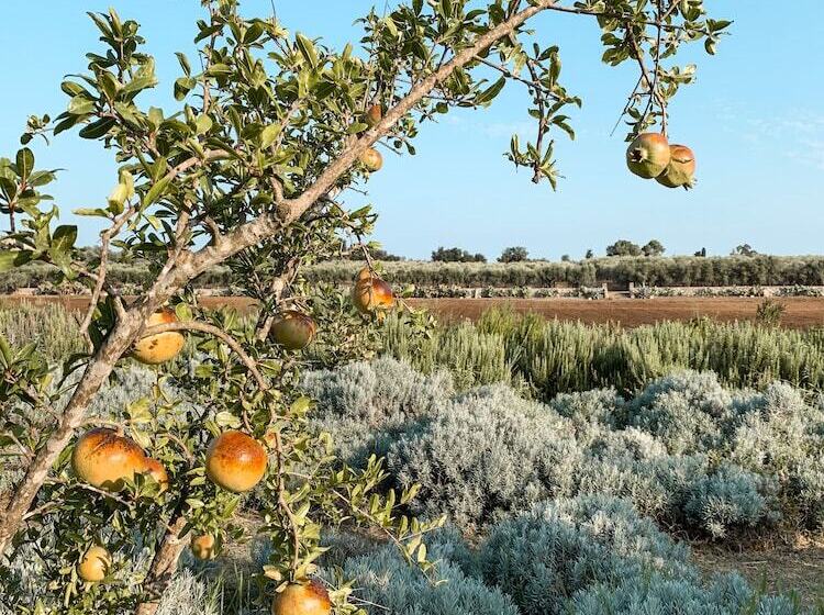 בית מלון כפרי Naturalis Bio Resort