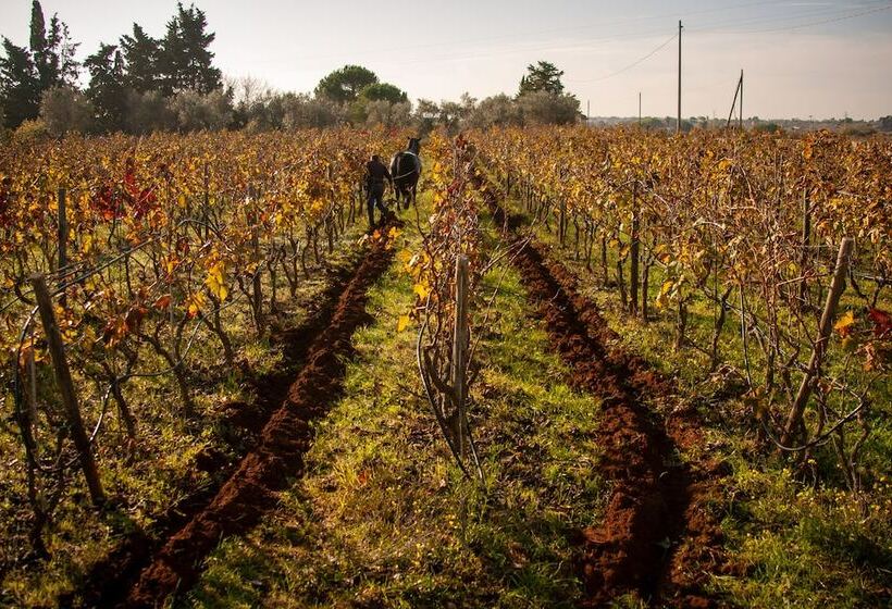 בית מלון כפרי Naturalis Bio Resort