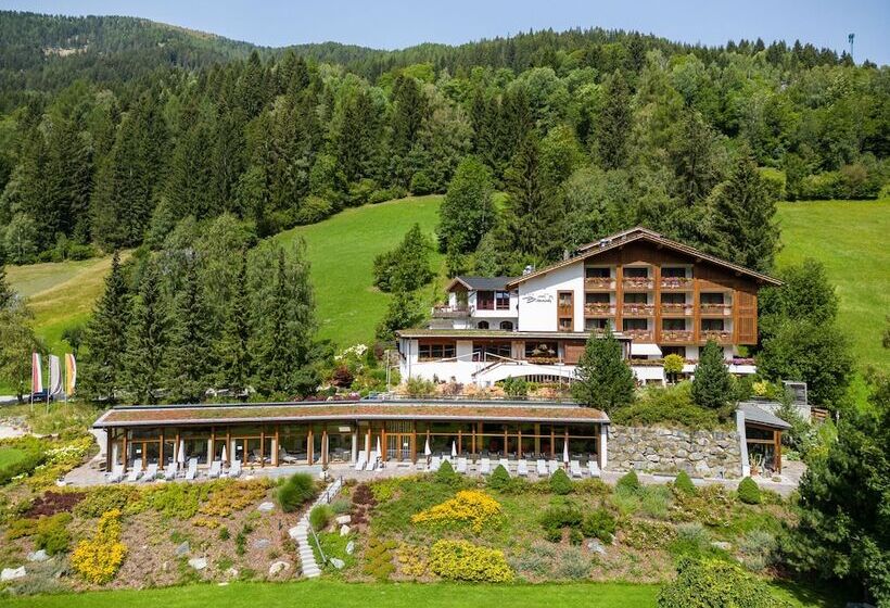 Отель Otp Birkenhof