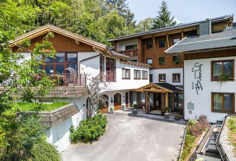 Отель Otp Birkenhof