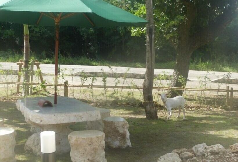 בית מלון כפרי Peace Island Taketomijima