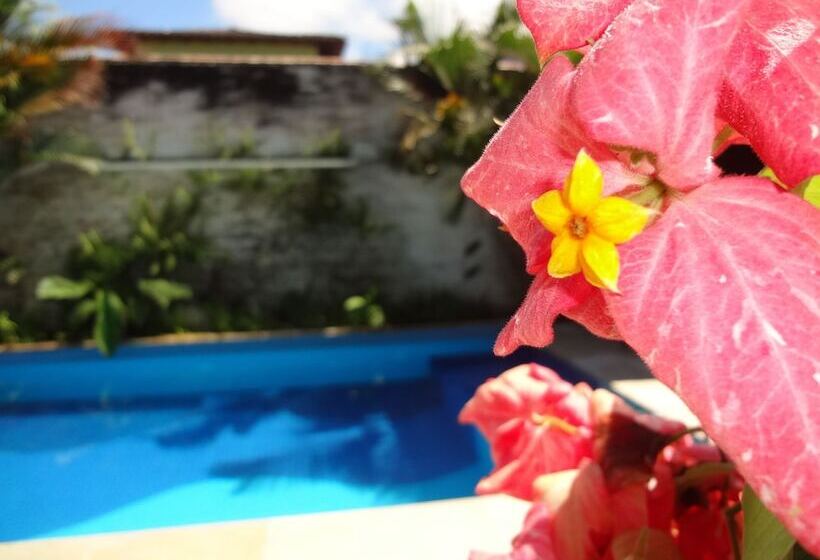 בית מלון כפרי Pousada Doce Paraty