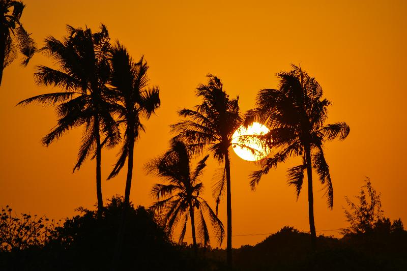 فندق Reef & Beach Resort