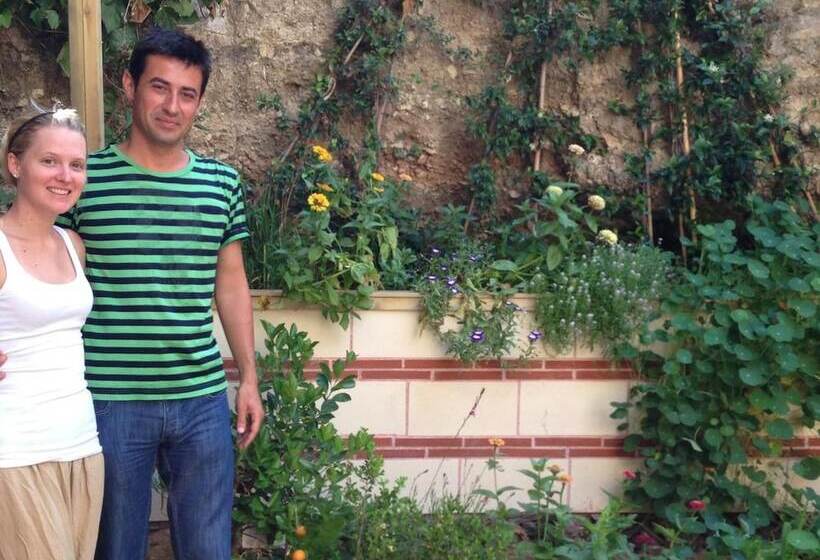 هتل Sultan Mehmed