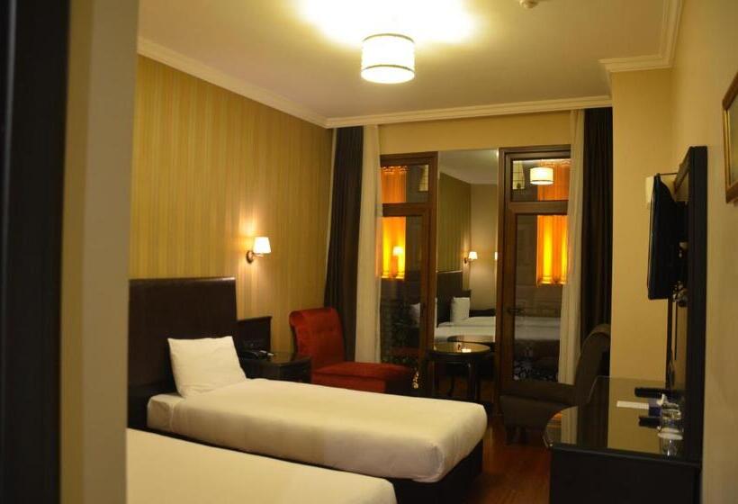 هتل Sultan Mehmed