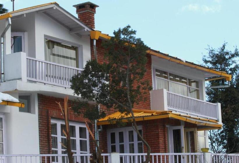 Hotel Te Aroha By Shervani