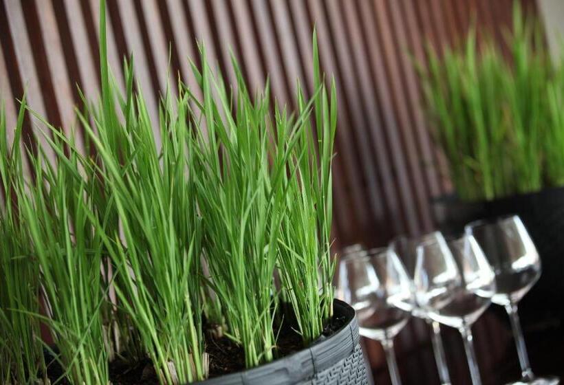 בית מלון כפרי The Lombok Lodge Suites & Private Villas