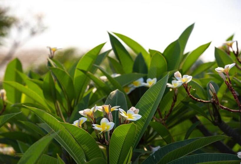 בית מלון כפרי The Lombok Lodge Suites & Private Villas