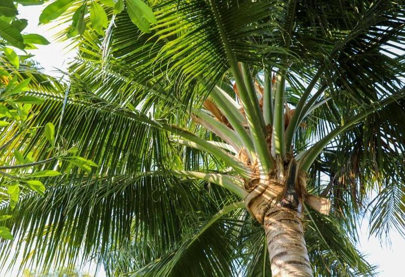 בית מלון כפרי The Lombok Lodge Suites & Private Villas