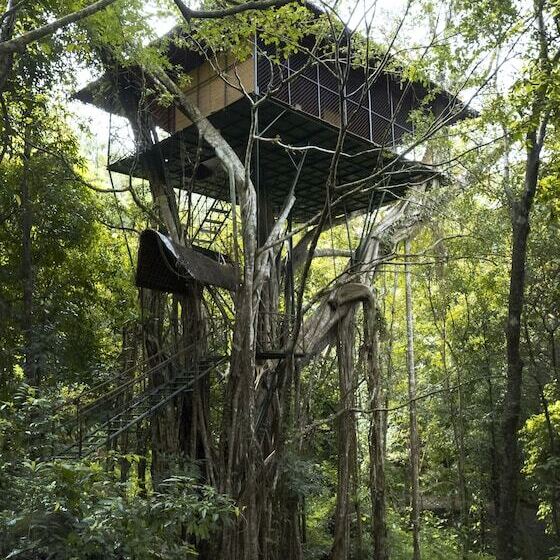 Отель Vythiri Resort