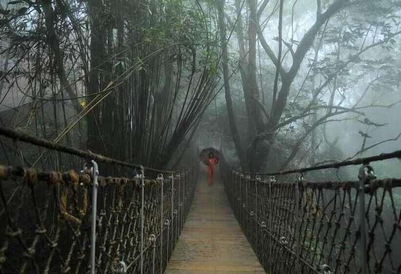 Отель Vythiri Resort