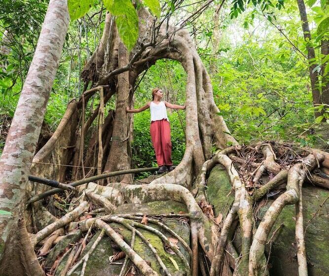 Отель Vythiri Resort