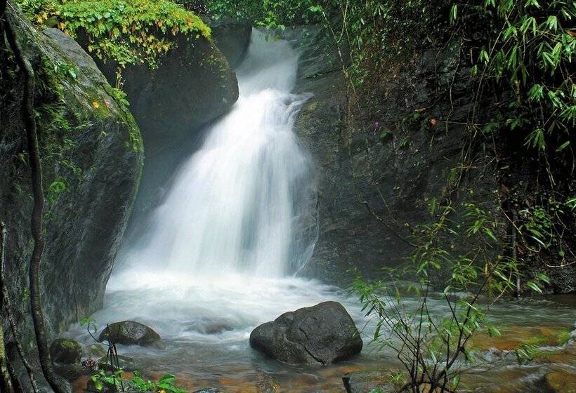 Отель Vythiri Resort