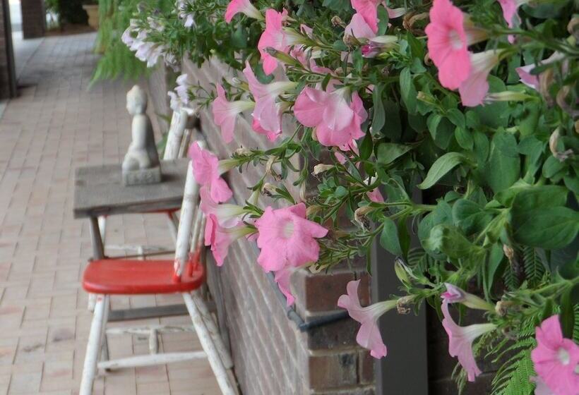 מוטל Bidgee Motor Inn