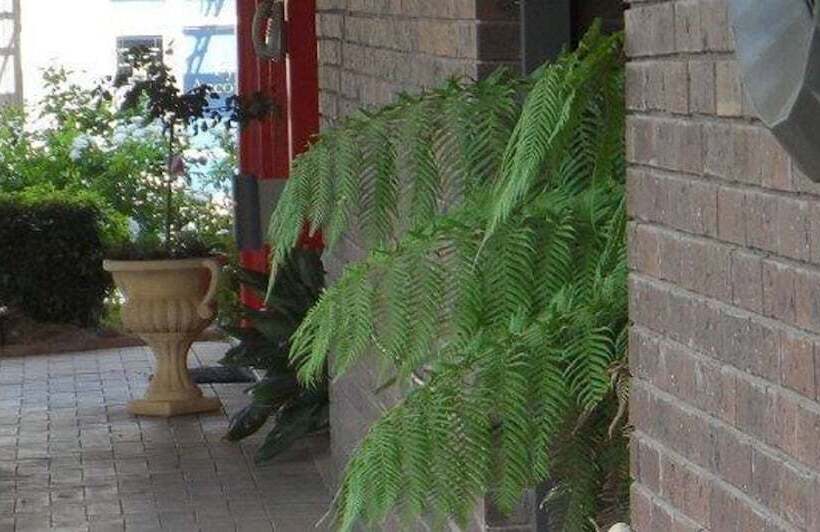 מוטל Bidgee Motor Inn