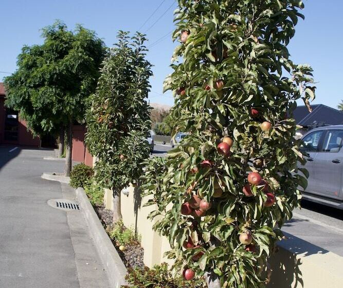 מוטל Blenheim Spa Motor Lodge