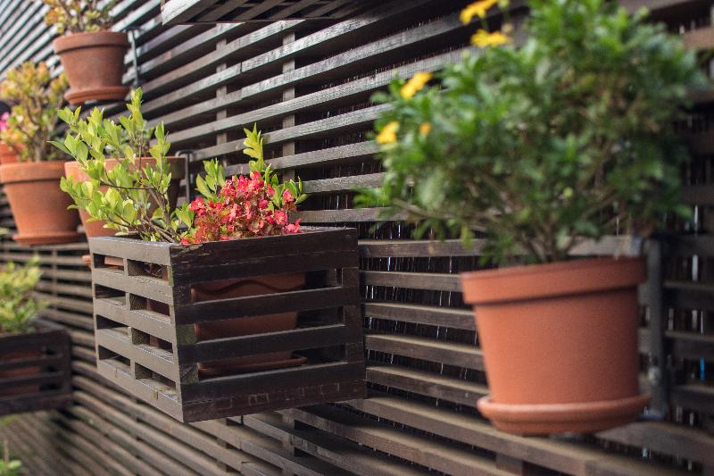 بنسيون Riversuites