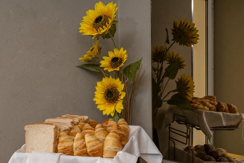 بنسيون Riversuites