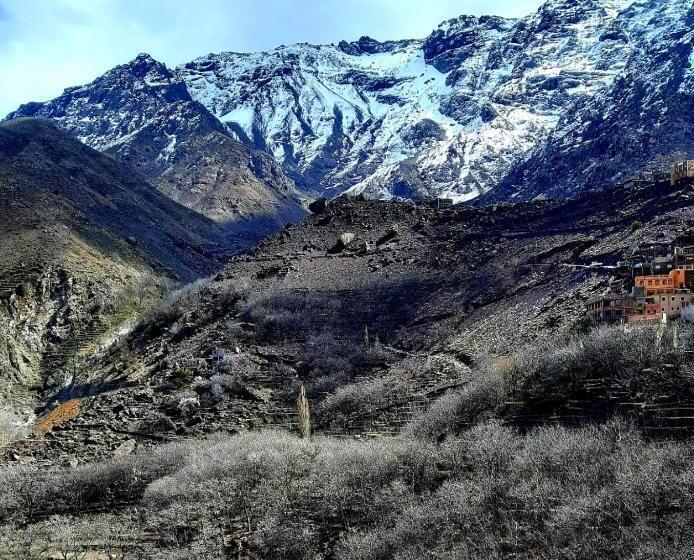 Пансион Tamatert Guest House