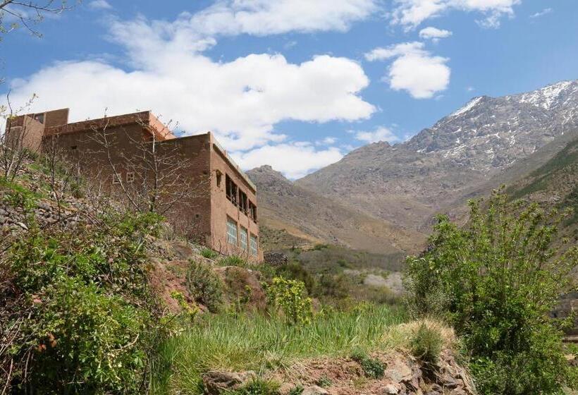 Пансион Tamatert Guest House