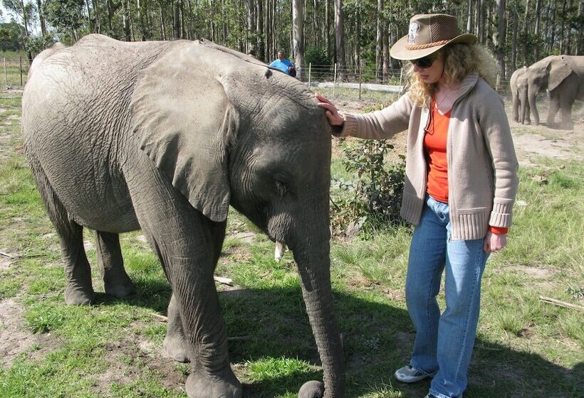 Pumula Lodge 4 Star B&b Knysna