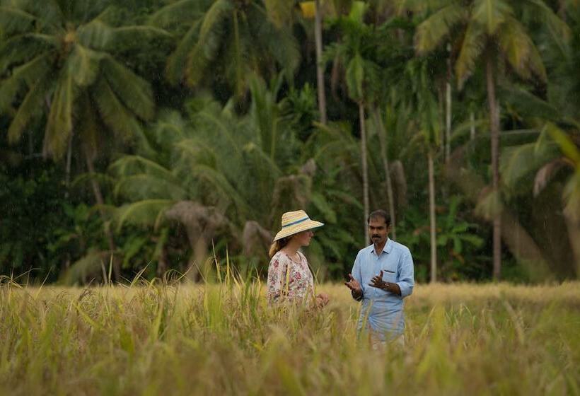 リゾートホテル Neeleshwar Hermitage