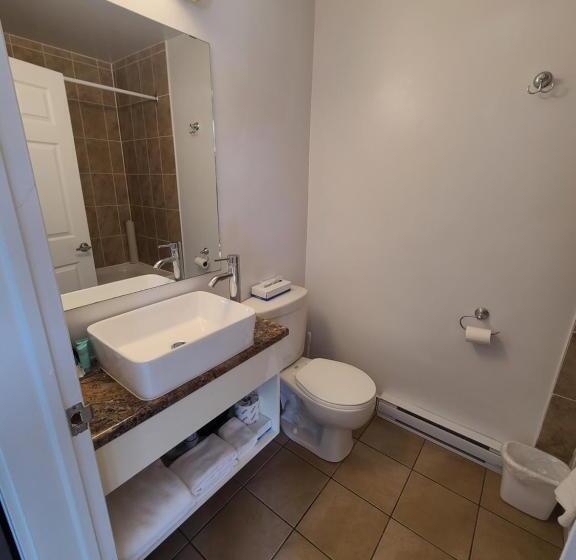 Stardust Motel  Bedford