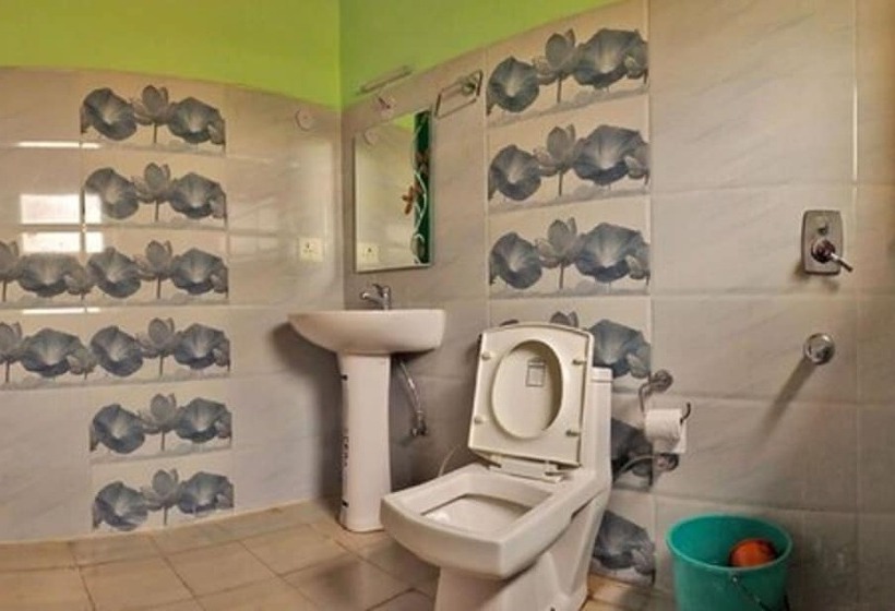 Tih Tsomoriri Hotel Lake View