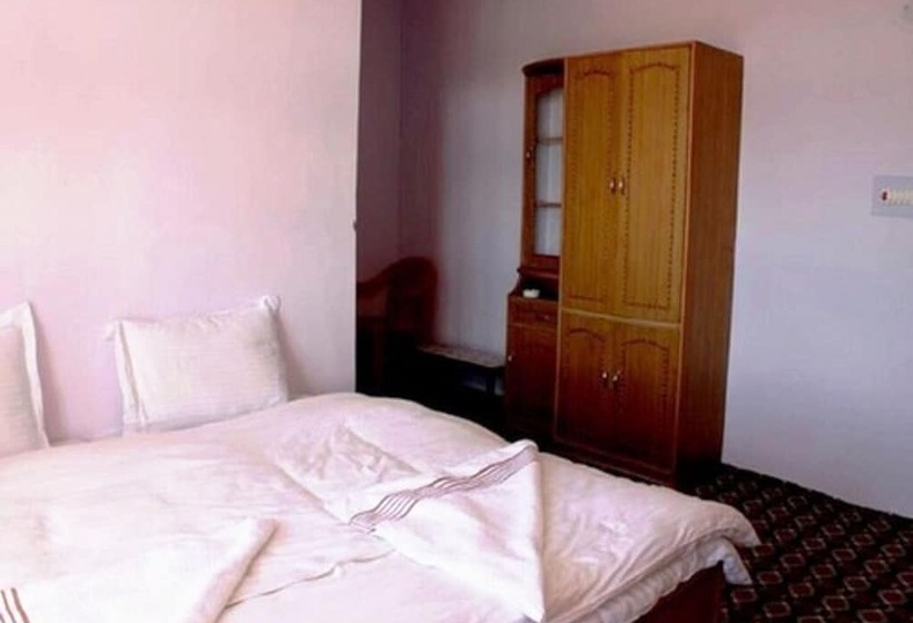 Tih Tsomoriri Hotel Lake View