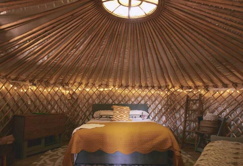 Mushroom Yurt Set In 4 Acres Of Woodland And Lakes
