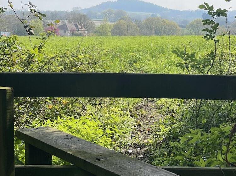 Beautiful 2bed Cottage In Knowle St Giles Nr Chard