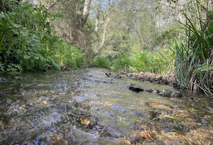 Beautiful 2bed Cottage In Knowle St Giles Nr Chard