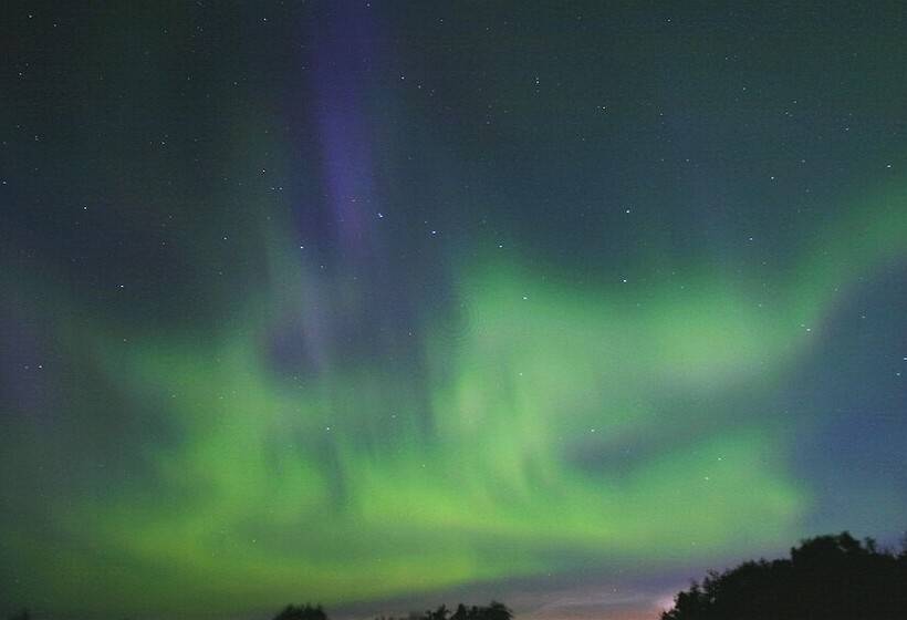 مبيت وإفطار Clam Gulch Lodge