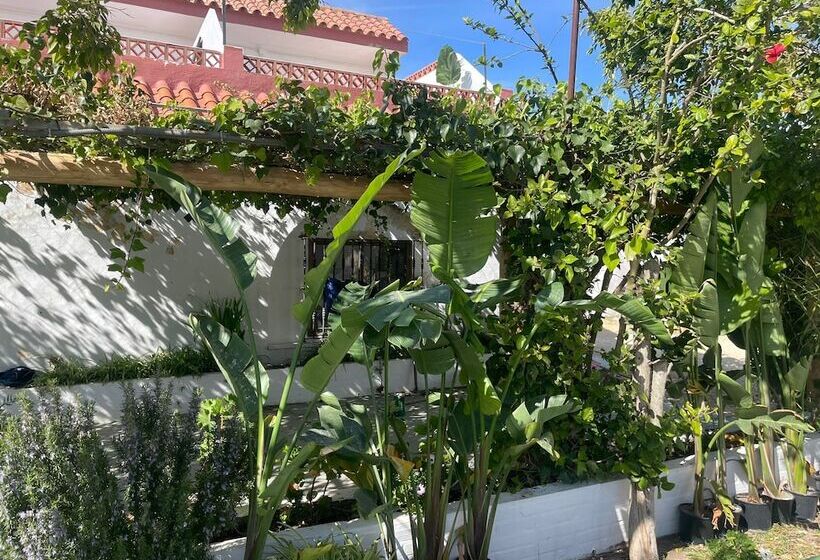 Bed and Breakfast La Posada De Trafalgar