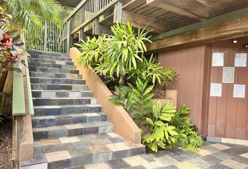 Bed and Breakfast Papaya Suite